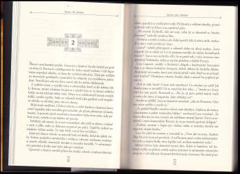 Rainer M Schröder: Kronika rodu Medicejů