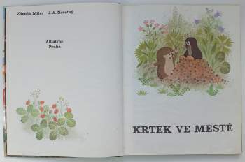 Krtek ve městě