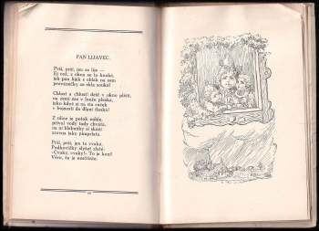 Vilma Sokolová: Krůpěje deštíčka