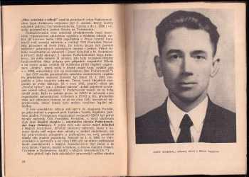 Jaroslav Metelka: Krvavý protektor