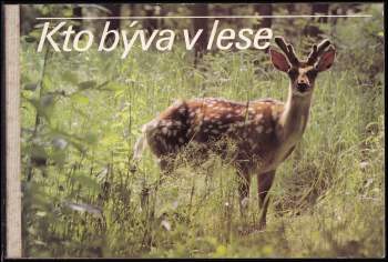 Kto bývá v lese