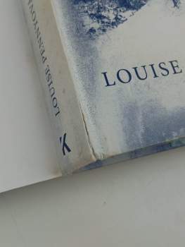 Louise Penny: Kudy vchází světlo