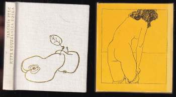 Kufr kouzelníka Boska