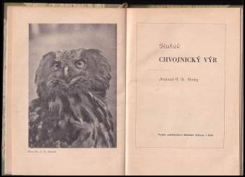 J. K Baby: Kuhúk - chvojnický výr
