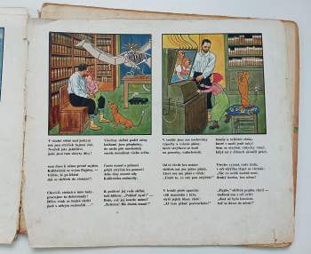 Kulihrášek u moře