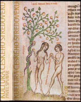 Kultura českého středověku