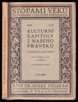 Kulturní kapitoly z našeho pravěku