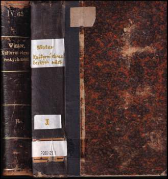 Kulturní obraz českých měst - život veřejný v XV. a XVI. věku