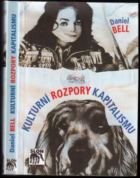 Kulturní rozpory kapitalismu