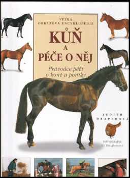 Kůň a péče o něj