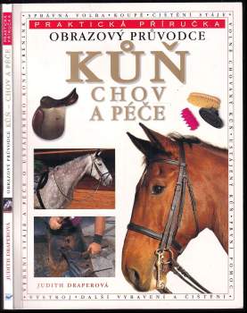 Kůň