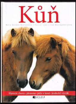 Kůň