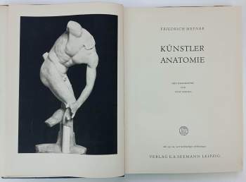 Friedrich Meyer: Künstler Anatomie