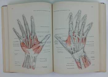Friedrich Meyer: Künstler Anatomie