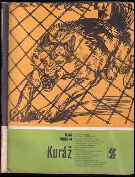 Il'ja Afroimovič Turičin: Kuráž : Pro čtenáře od 12 let