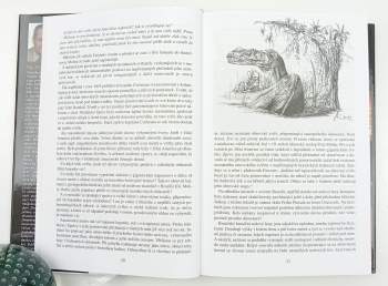 Jaroslav Mareš: Kurupira