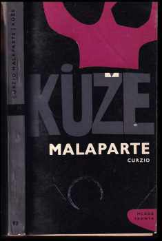 Kůže