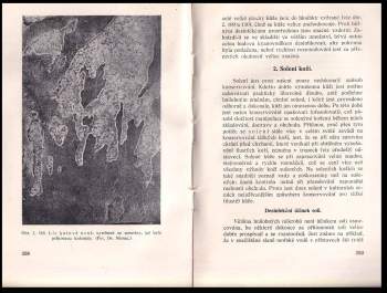 Václav Kubelka: Kůže jako surovina průmyslová