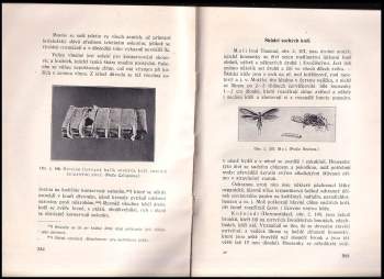 Václav Kubelka: Kůže jako surovina průmyslová