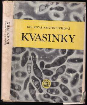 Kvasinky
