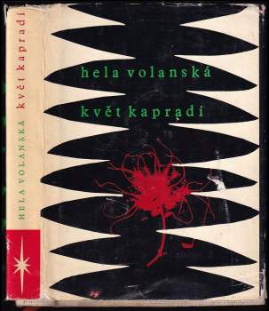 Květ kapradí