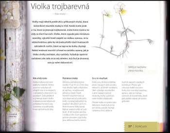 Jana Vlková: Květinová kuchařka