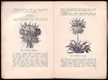 Jan Josef Těšitel: Květiny cibulovité, hliznaté a některé jiné, jim podobné