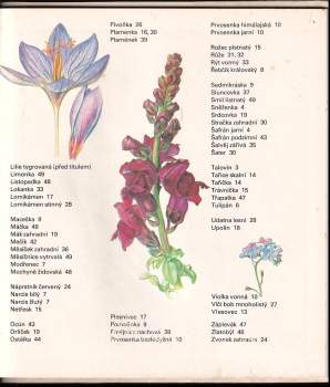 Annerose Klopfer: Květiny na zahradě