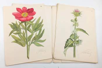 Josef Štolovský: Květiny, osm barevných litografií J. V. Štolovského