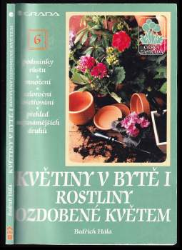 Květiny v bytě I