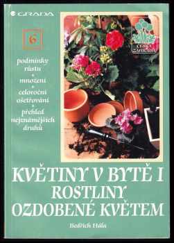 Květiny v bytě I