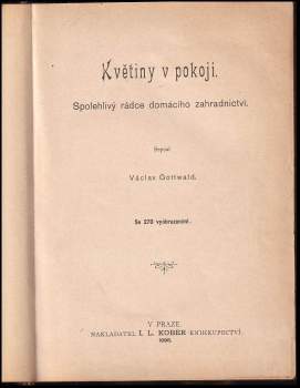 Václav Gottwald: Květiny v pokoji