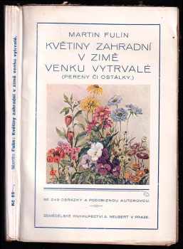 Květiny zahradní v zimě venku vytrvalé