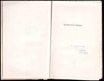 Ladislav Stehlík: Kvetoucí trnka