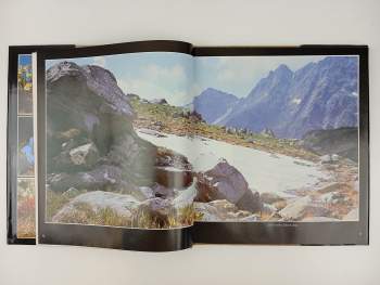 Oldřich Staněk: Kvety a hory