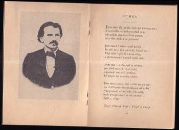 Květy české poesie