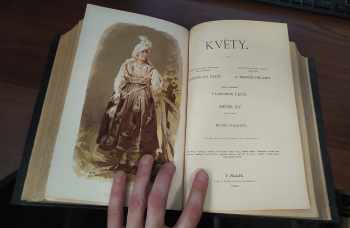 Svatopluk Čech: Květy 1882