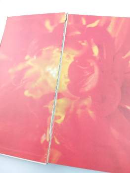 Vladislav Pravda: Květy modré planety