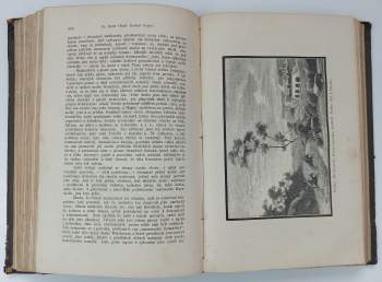 Svatopluk Čech: Květy, ročník V., kniha X., 1883