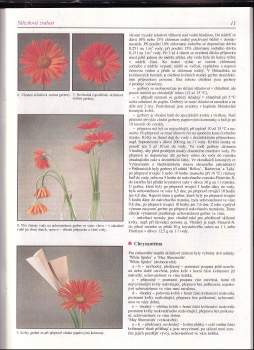 Eva Skalská: Květy ve váze stále svěží