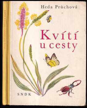 Kvítí u cesty