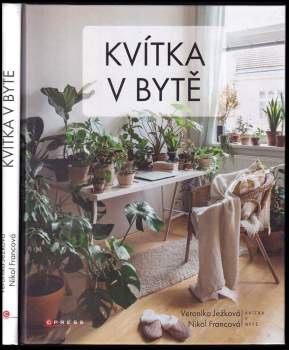 Kvítka v bytě