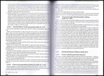 Vladimír Šmejkal: Kybernetická kriminalita