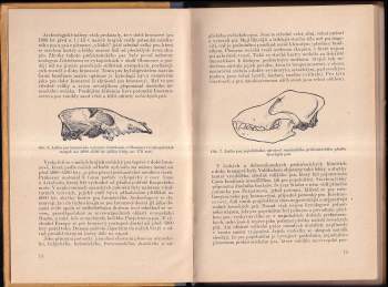 Jan Koller: Kynologická příručka