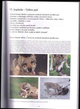 Naděžda Šebková: Kynologie