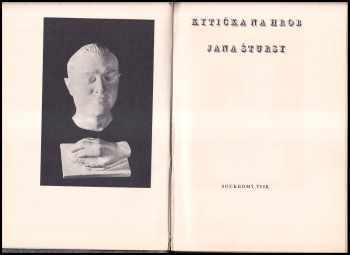 Jan Štursa: Kytička na hrob Jana Štursy