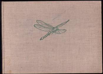 Kytička z náčrtníku