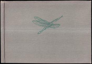 Kytička z náčrtníku