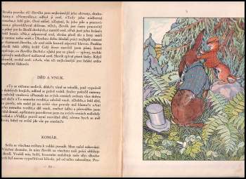 Rudolf Mates: Kytka bajek