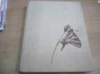 La beauté de la nature